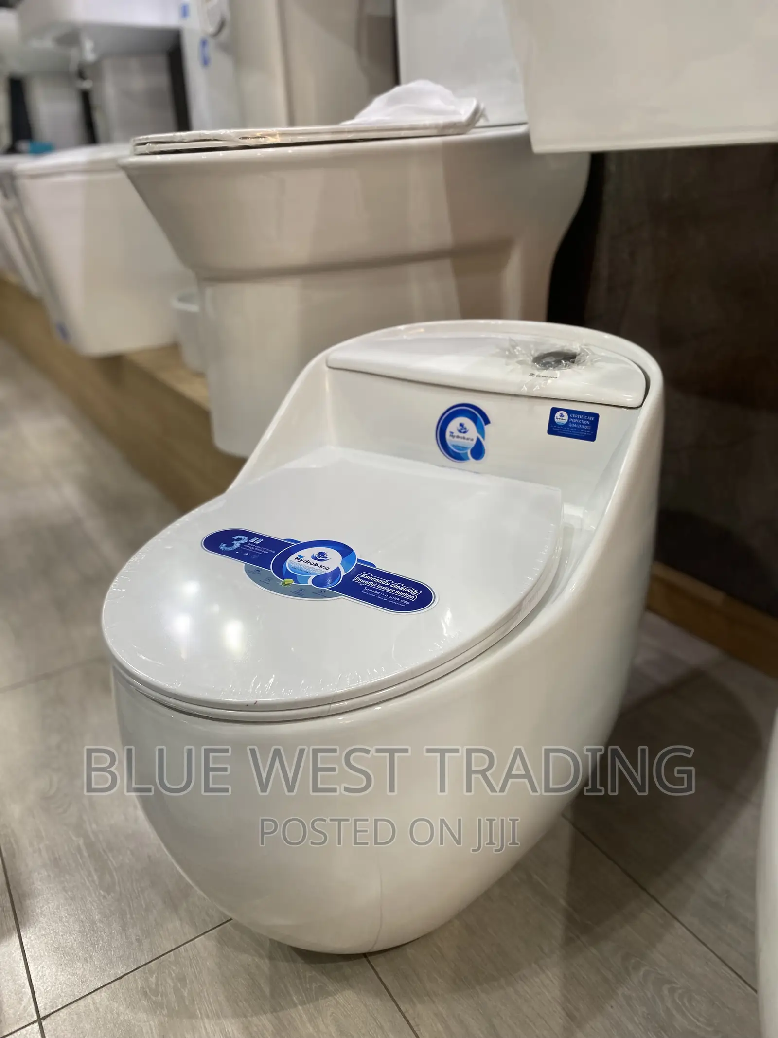 White Egg Shaped Water Closet