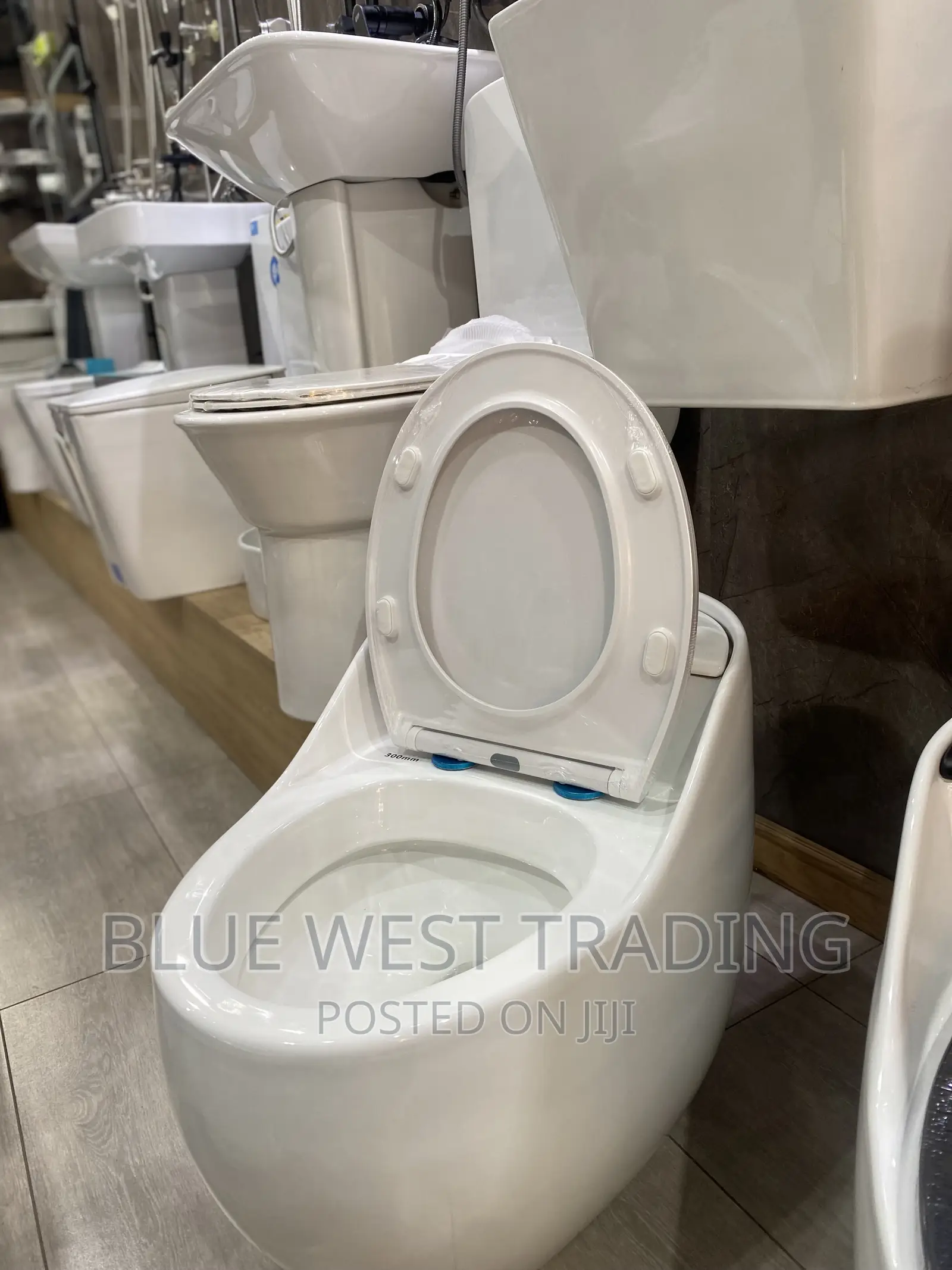 White Egg Shaped Water Closet
