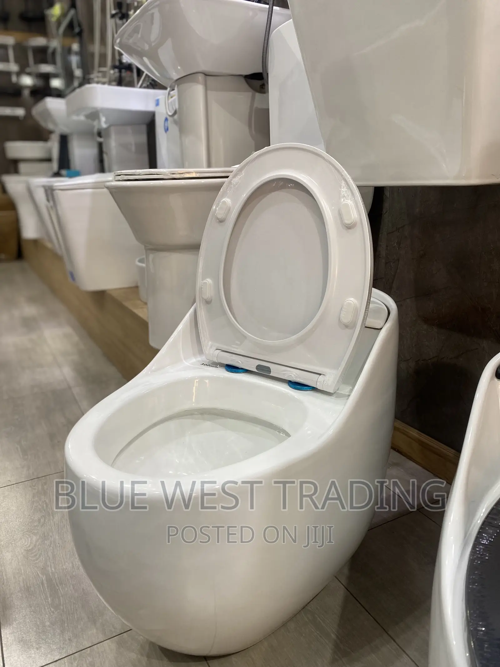 White Egg Shaped Water Closet