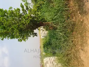 Plot for Sale at Brofuyedro Darko