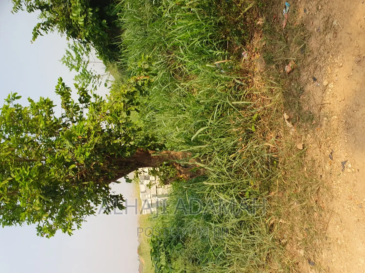 Plot for Sale at Brofuyedro Darko