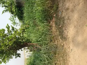 Plot for Sale at Brofuyedro Darko