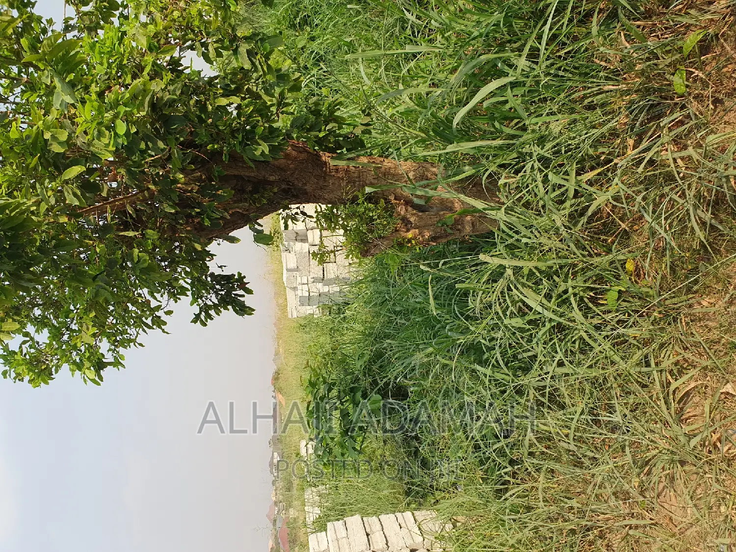 Plot for Sale at Brofuyedro Darko