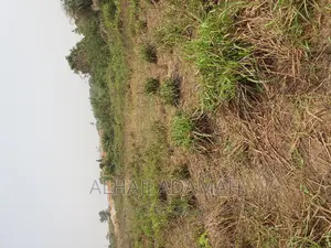 Four Plots of Lands at Santasi Darko New Site