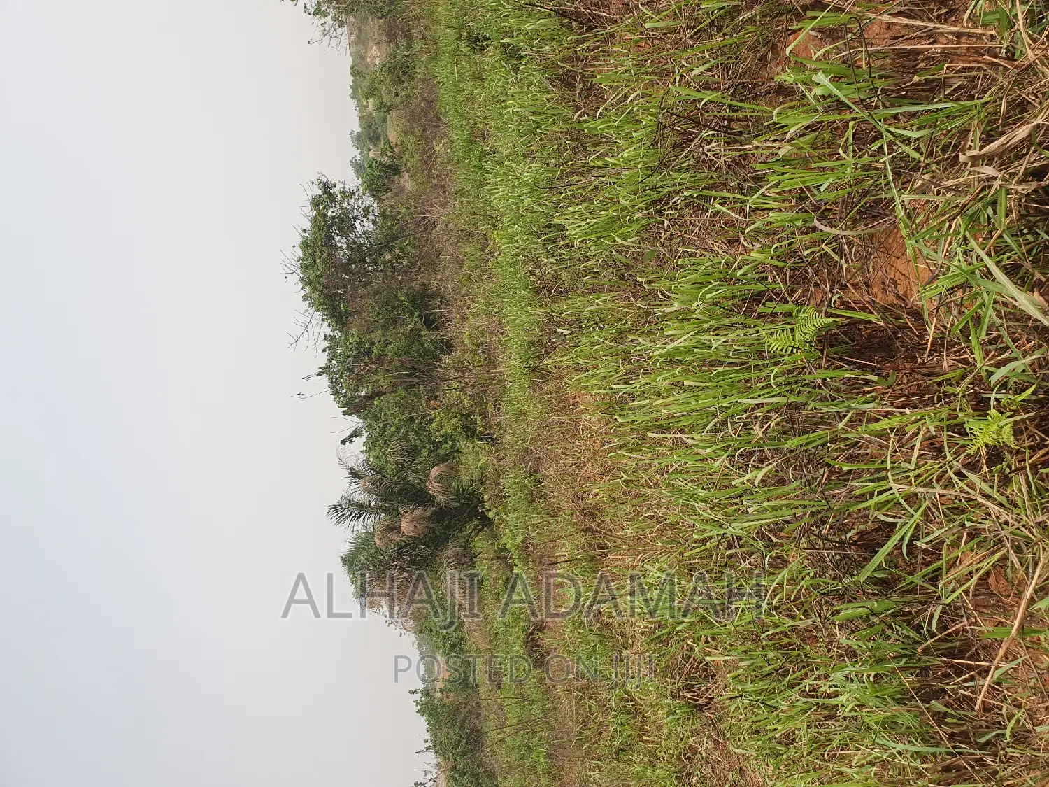 Four Plots of Lands at Santasi Darko New Site