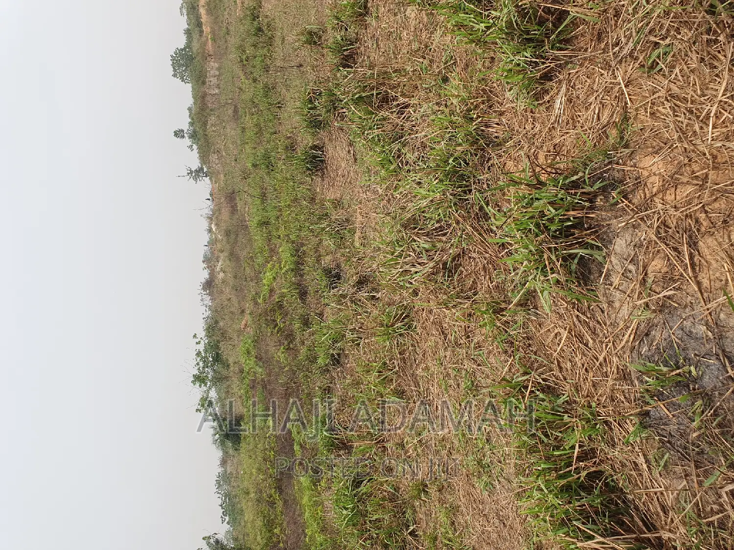 Four Plots of Lands at Santasi Darko New Site