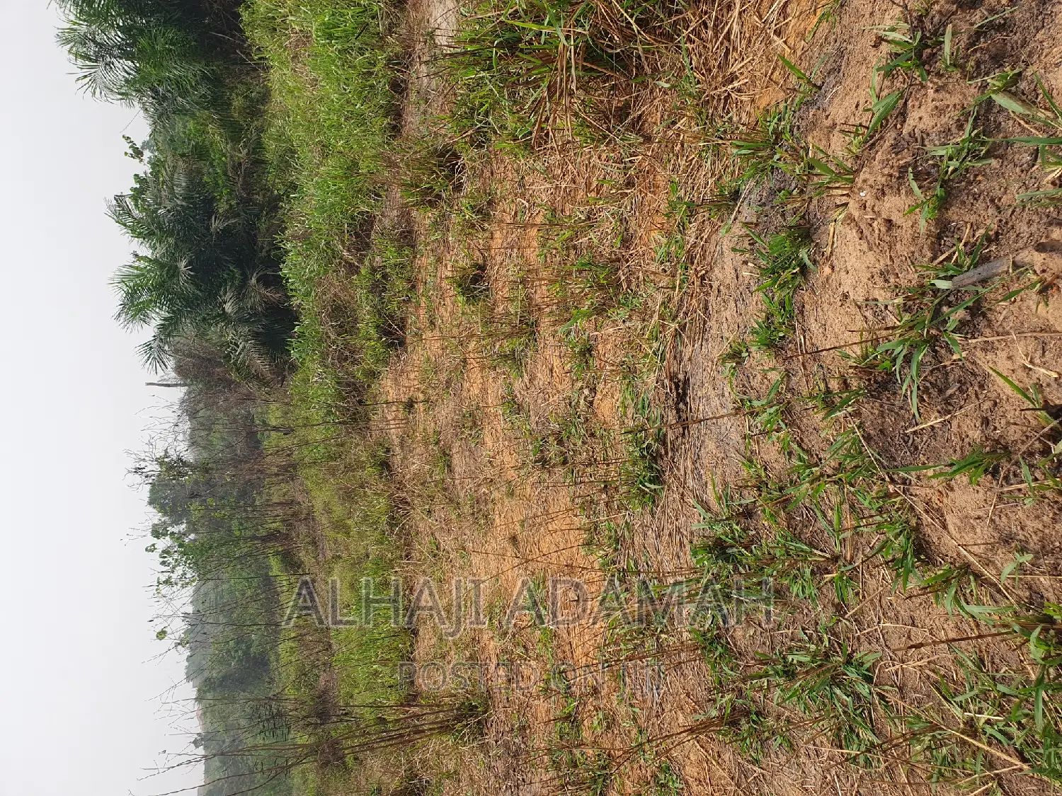 Four Plots of Lands at Santasi Darko New Site