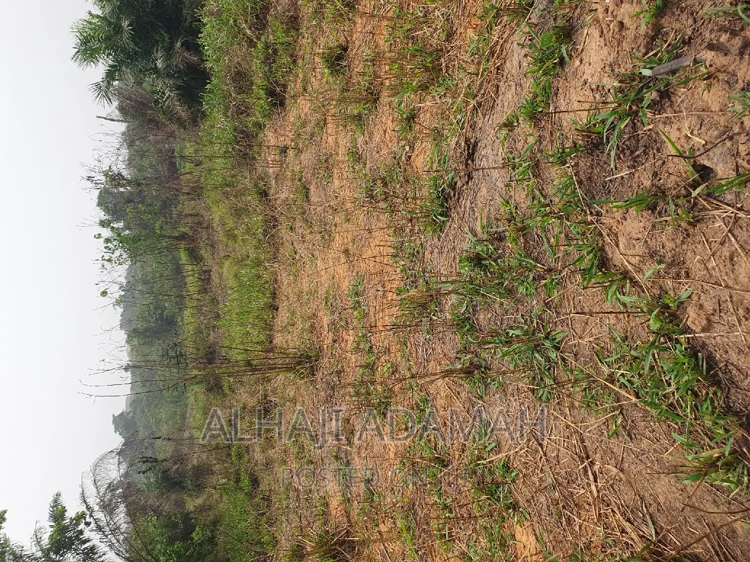 Four Plots of Lands at Santasi Darko New Site