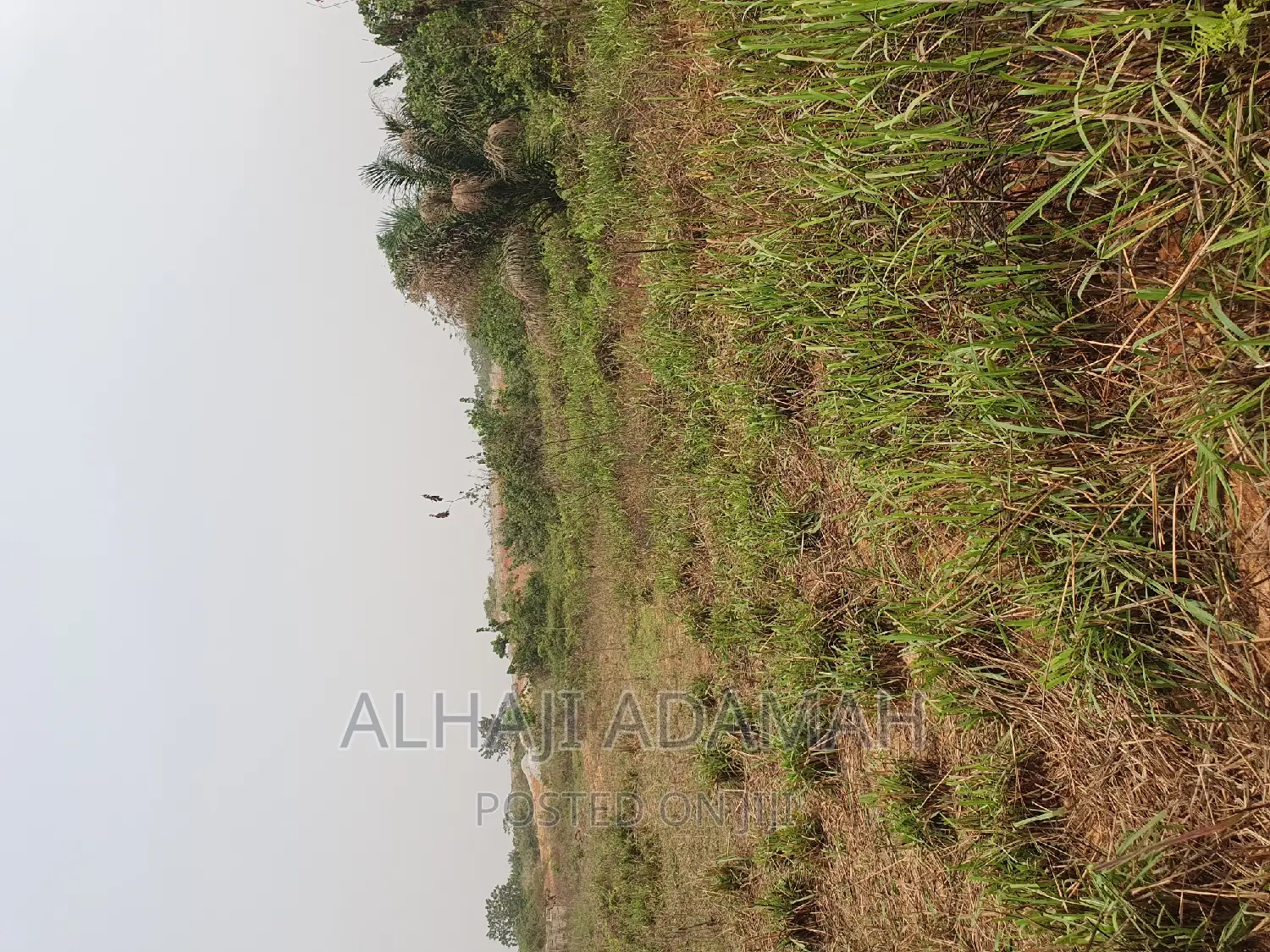 Four Plots of Lands at Santasi Darko New Site