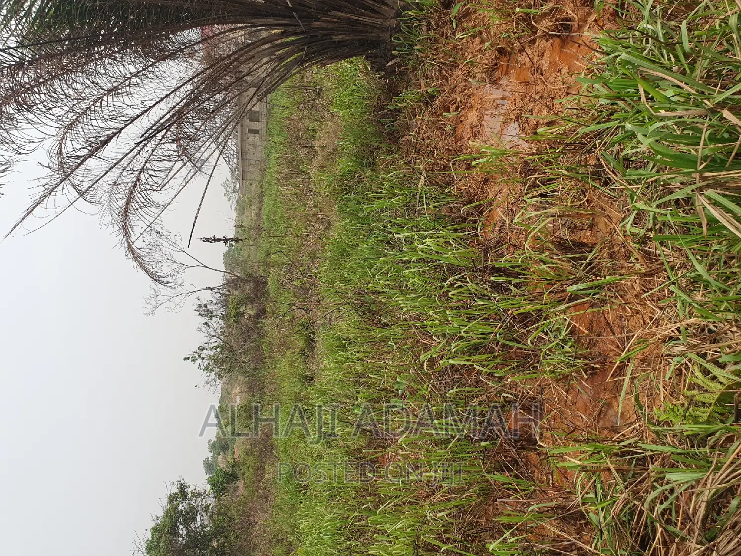 Four Plots of Lands at Santasi Darko New Site
