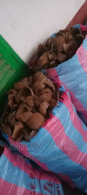 Dry Coconut Shells