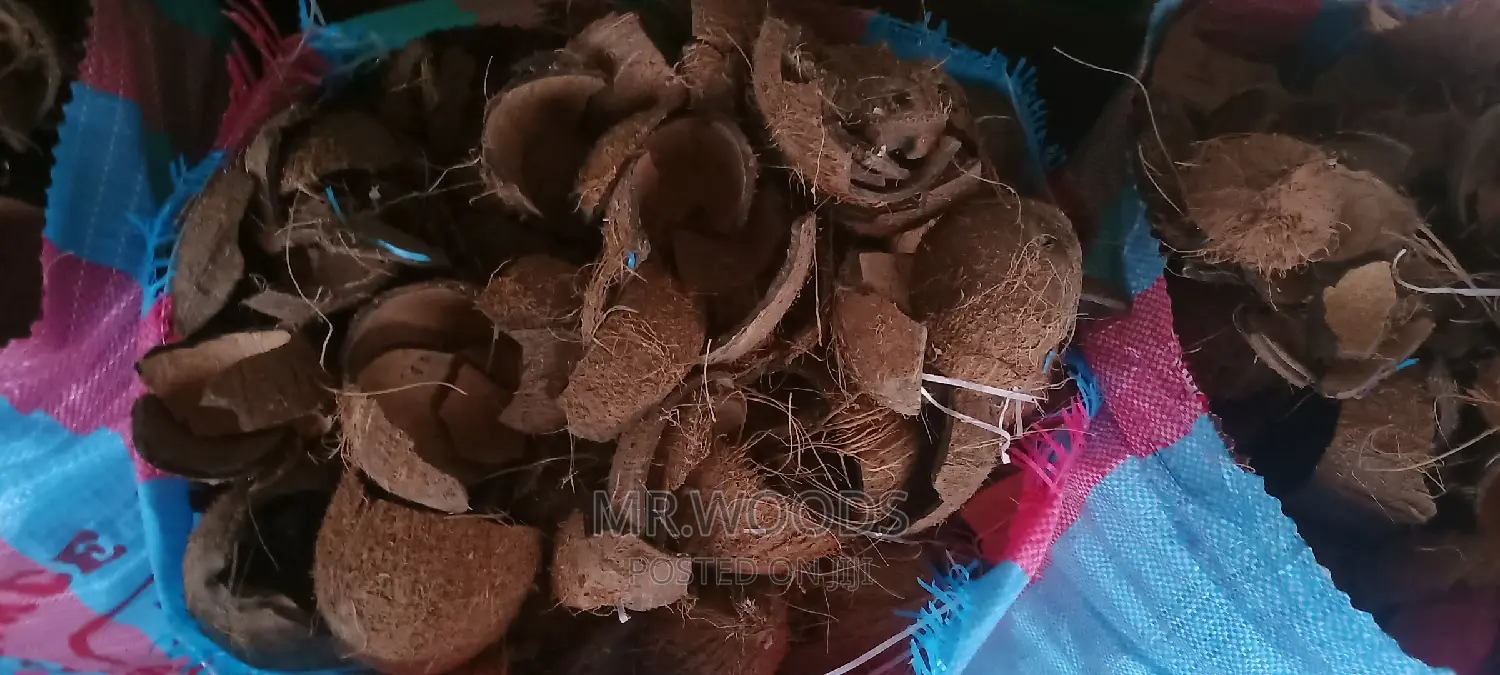 Dry Coconut Shells