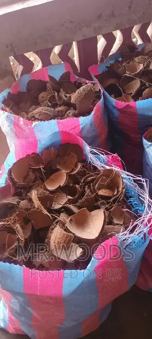 Dry Coconut Shells