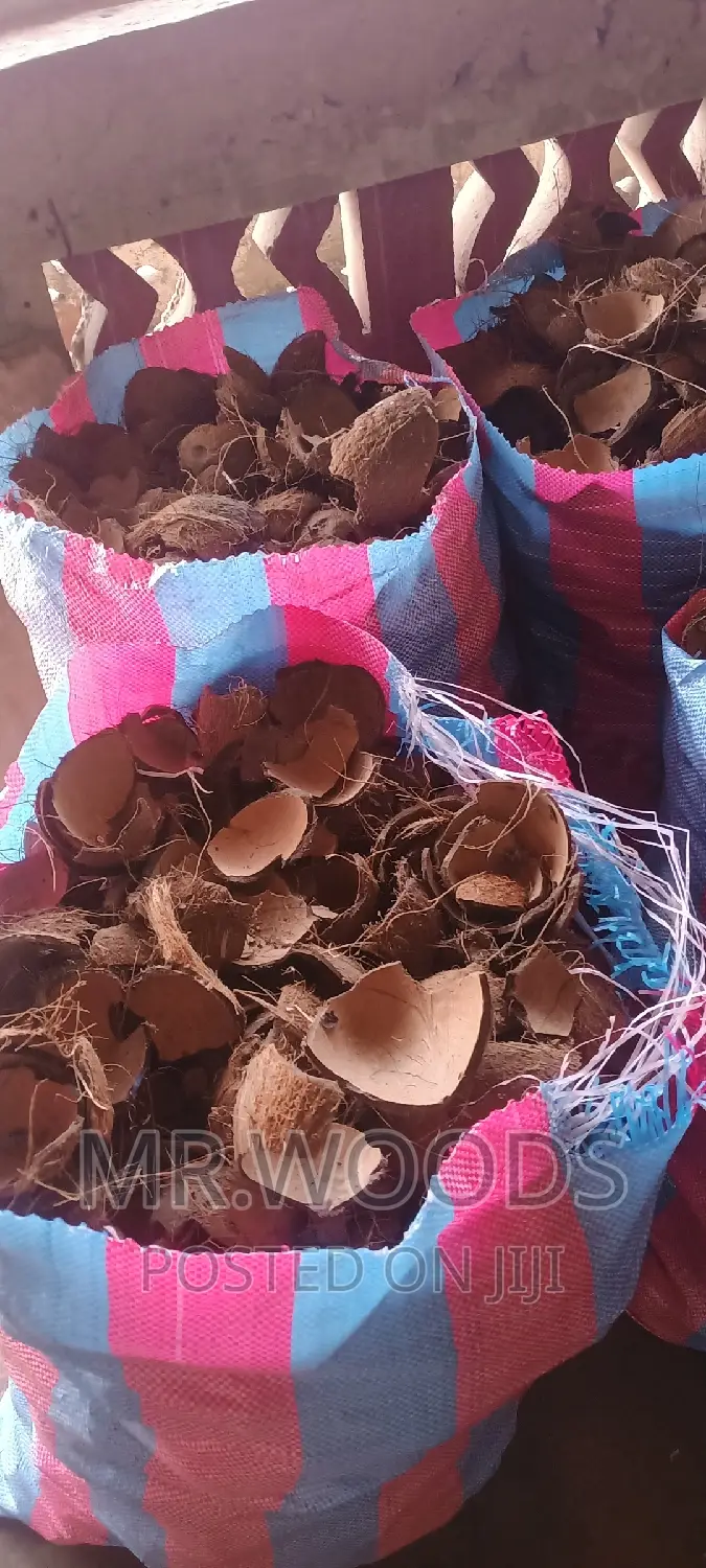 Dry Coconut Shells