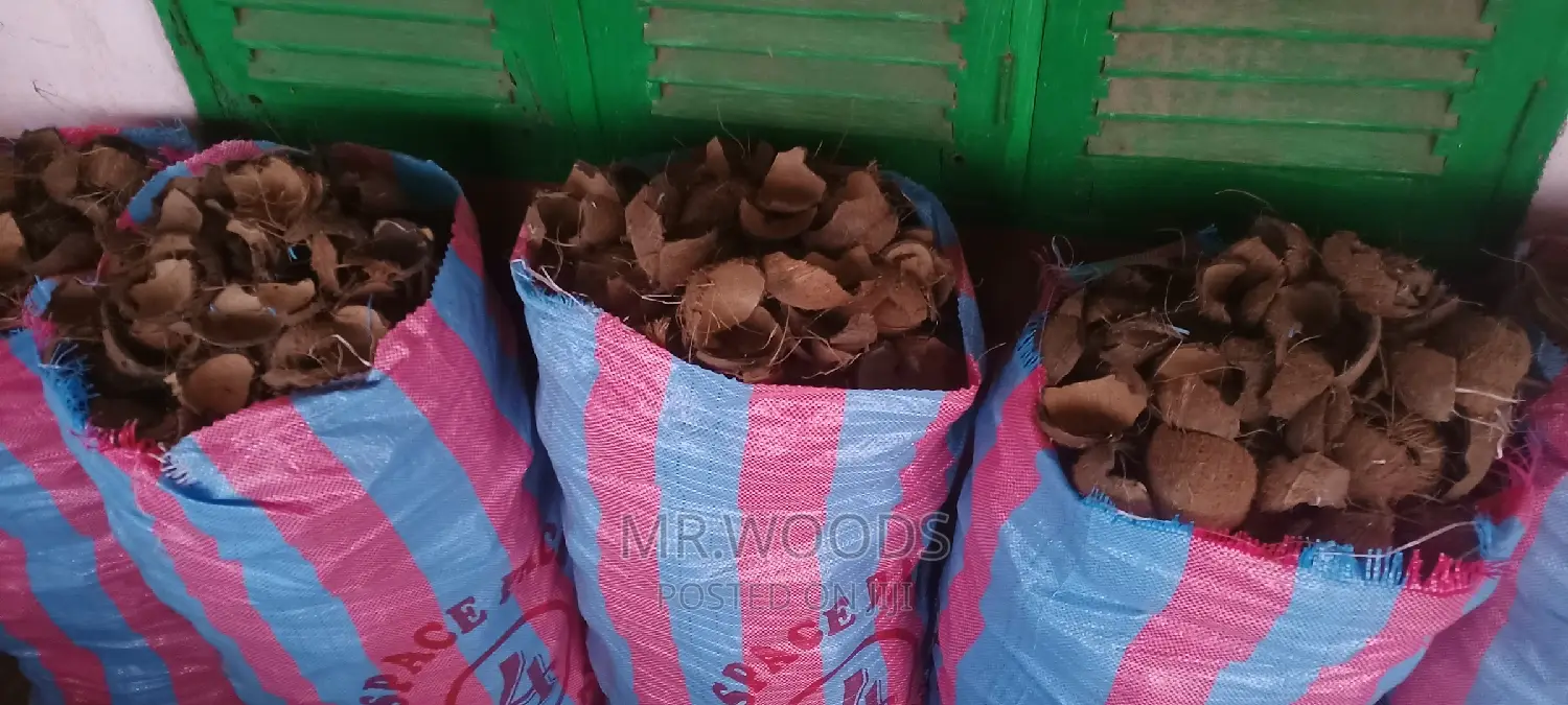 Dry Coconut Shells