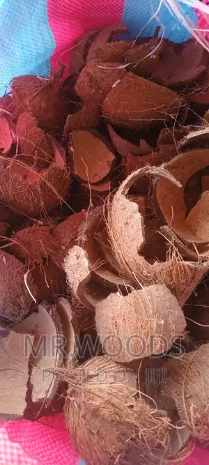 Dry Coconut Shells