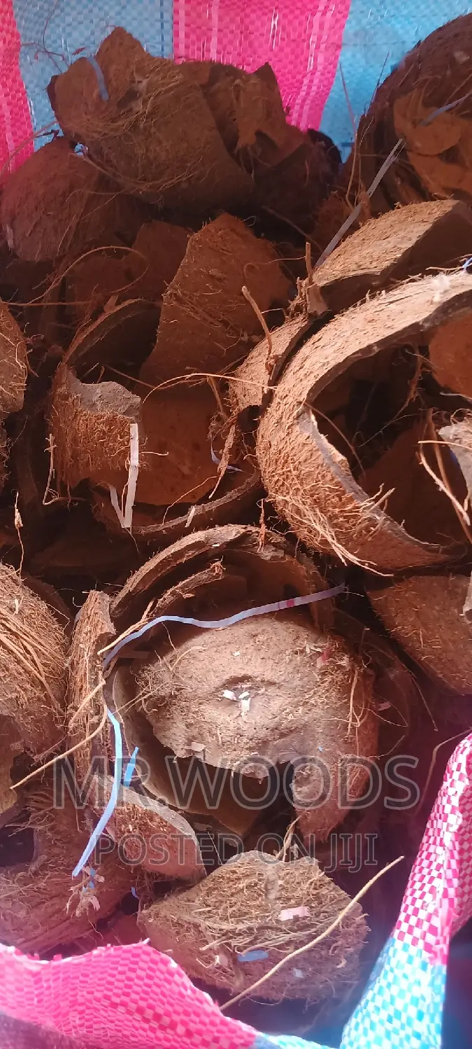 Dry Coconut Shells