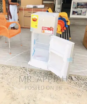Lovely Zara Double Door Electric Refrigerator 135KH.