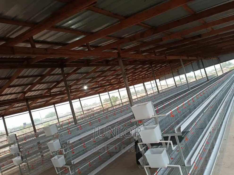 Strongest Chicken Cages