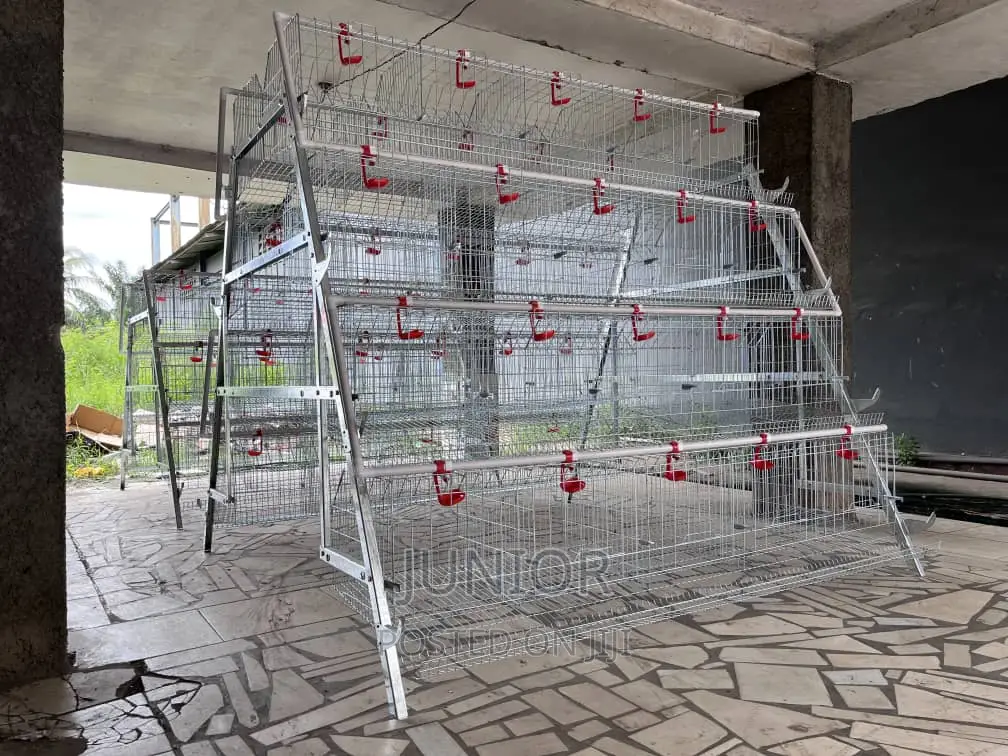 Strongest Chicken Cages