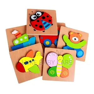 Wooden Puzzles for Improving Intelligence.