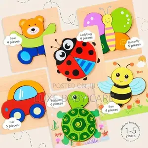 Wooden Puzzles for Improving Intelligence.