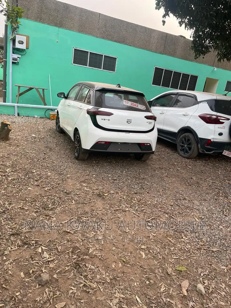 Car 2019 White