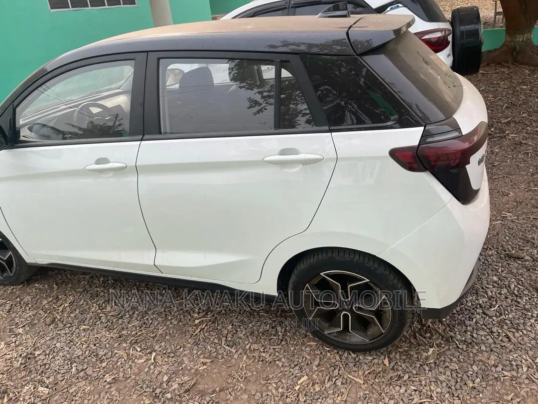 Car 2019 White