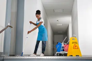 Cleaning Services