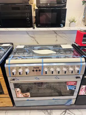 4-2 Sliver Gas Electric Sliver Shinning Ferre Rotisserie