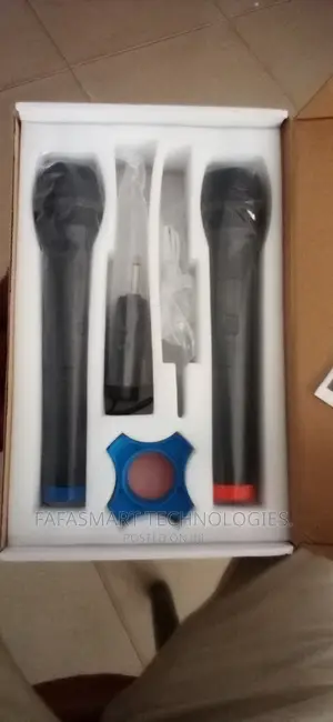Professional Microphone