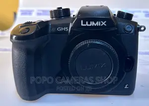 Foreign Used Panasonic GH5