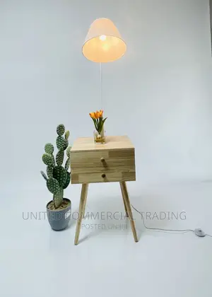 Floor Lamp/ Standing Lamp