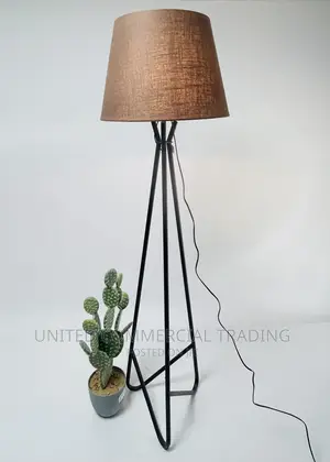 Floor/Standing Lamp