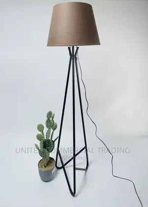 Floor/Standing Lamp