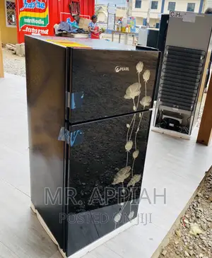 Purchase Classic Pearl PF-16T 2 Door Electric Fridge,Black