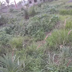 Plot for Sale at Mpatado