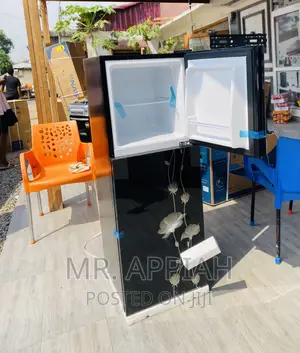 Nicely Designed Pearl 2 Door Electric Fridge Pf 217t-2b.