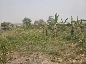A Land at Ipt-Asuoyeboah for Sale
