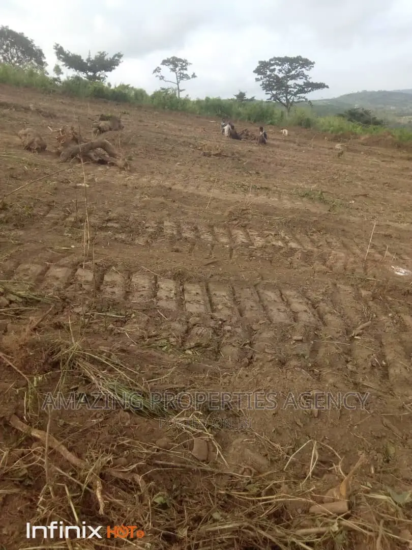 200 Acres of Land for Sale at Dodowa