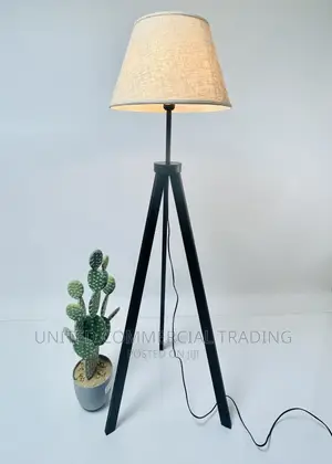 Floor/Standing Lamp