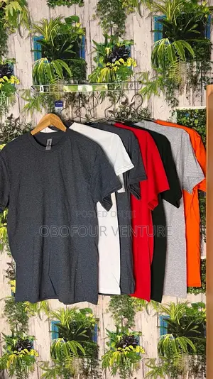 Unisex Plain T-Shirts From USA 
