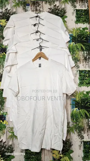 Quality and Affordable Plain T-Shirts From USA 