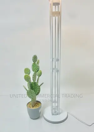 Floor/Standing Lamp