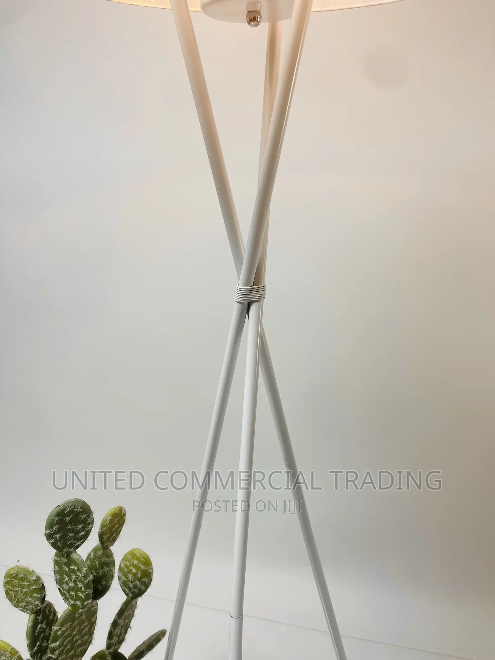 Floor/Standing Lamp