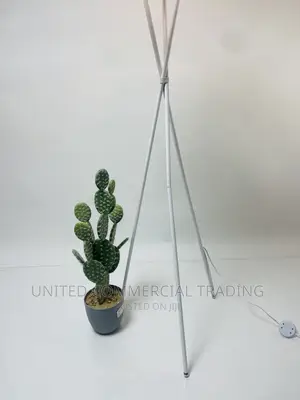 Floor/Standing Lamp