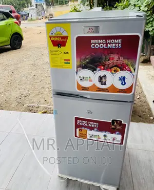 Energy Saving Zara 14TM Double Door Electric Fridge.