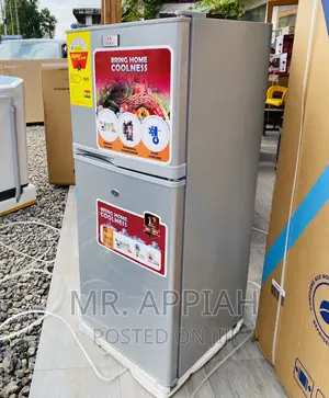 Energy Efficient Zara 14TM Double Door Electric Fridge.