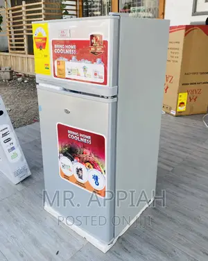 Energy Sufficient Zara 12TM 2 Door Electric Fridge,Gray.