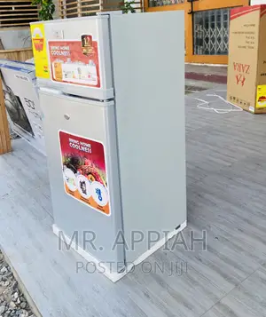 Energy Efficient Zara 12TM 2 Door Electric Fridge(Gray).